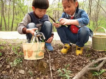 《儿时的一件趣事》（关于旧时趣事的作文精选）