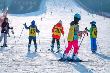 滑雪趣事的话题优秀作文（《滑雪带来的乐趣》）