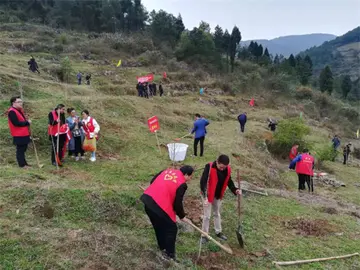 绿植趣事的话题优秀作文（《植树节的趣事》）