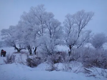 《冬日下的那幅美景》（关于冬日风景的作文精选）