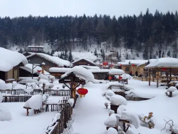 冬日飘雪的话题优秀作文（《观看冬日里的雪》）