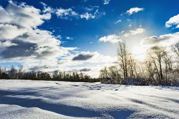 有关冬日白雪的作文精选范例（《感谢冬日那场雪》）