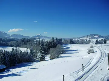 《冬日白皑皑的飘雪》（关于冬日雪花的作文精选）