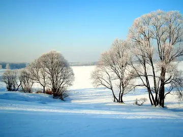 《冬日白皑皑的飘雪》（关于冬日雪花的作文精选）