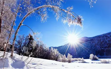 《冬日灿烂的阳光》（关于怀念冬日的作文精选）