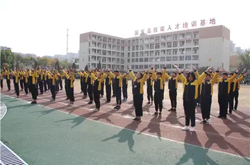 有关生活启示的作文精选范例（《对生活的感悟》）