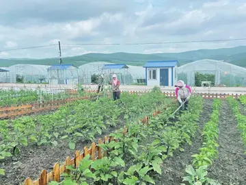 有关现代生活的作文精选范例（《尊重共享的生活》）