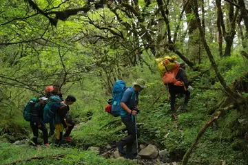 关于探险作文600字（神奇的探险之旅）