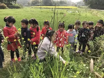 2023春游踏青实施总结范文（春游踏青工作总结范例）