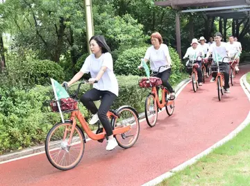 2023节能低碳实施总结范文（节能低碳工作总结范例）