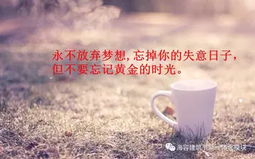 坚持也是一种美作文600字（生命的真谛）