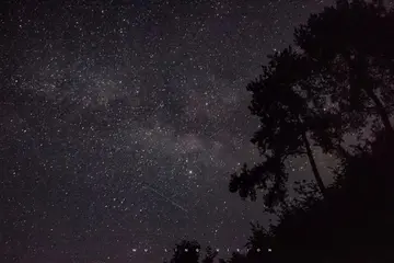 特别心动的浪漫文案（经典走心的浪漫短句）