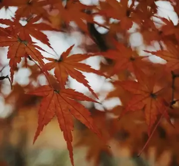 关于夏天的温柔句子（特别经典的夏天短句）