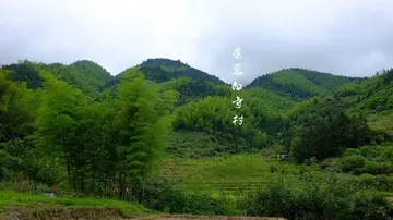 挑出山后的绿作文600字（揣得是希望）