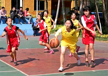 2023小学篮球比赛实施总结范文（小学篮球比赛工作总结范文）