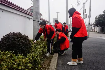 2023学雷锋日活动方案模板（学雷锋日策划方案范本）