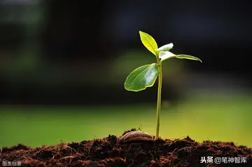 那一刻我长大了作文600字范文（成长的见证）