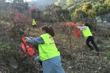 2023森林防火安全教育实施方案模板（森林防火安全教育工作方案范本）