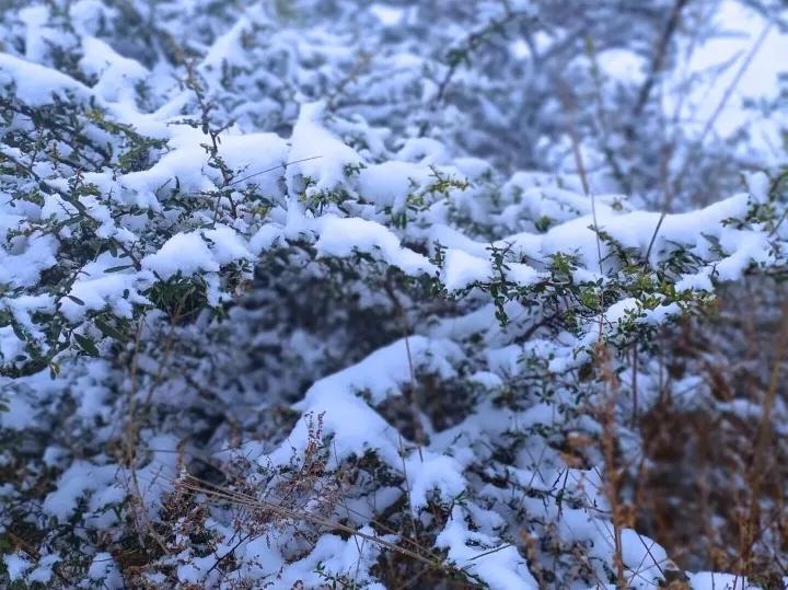 二十四节气小雪文案（赞美小雪节气的简短句子）