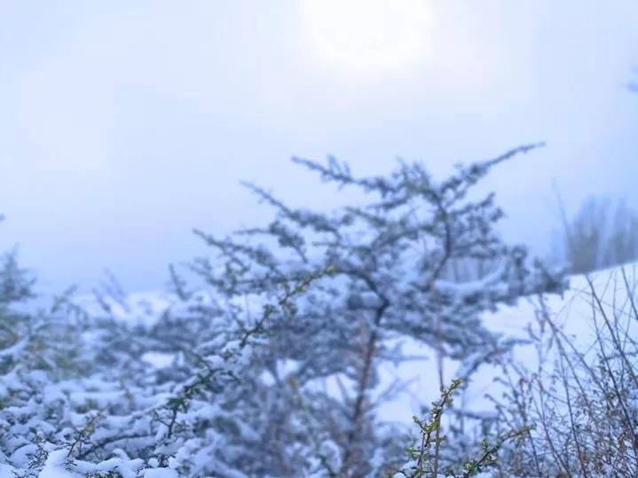 二十四节气小雪文案（赞美小雪节气的简短句子）