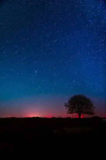 适合七夕的情话句子（特别甜蜜的七夕短句）