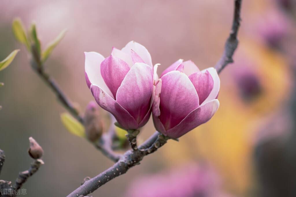 触动心灵的唯美短句（有深度有涵养的句子）