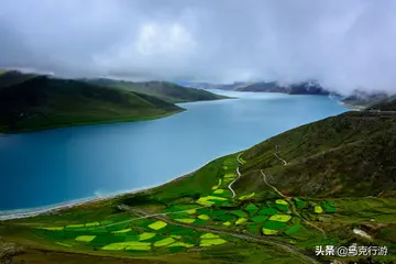 那是一道风景作文600字（芬芳的樱花）