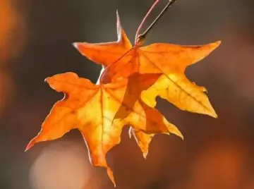 让人走心的句子（特别精致的走心文案）