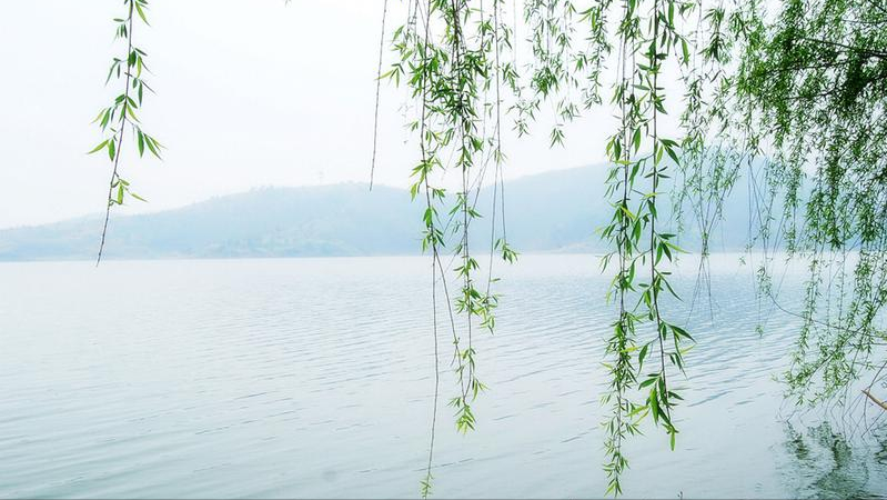 写雨名句古诗词鉴赏（节气雨水的诗句）