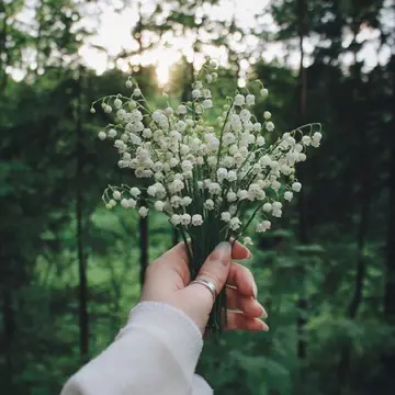 恍然大悟的人生句子（富有哲理的人生语录）