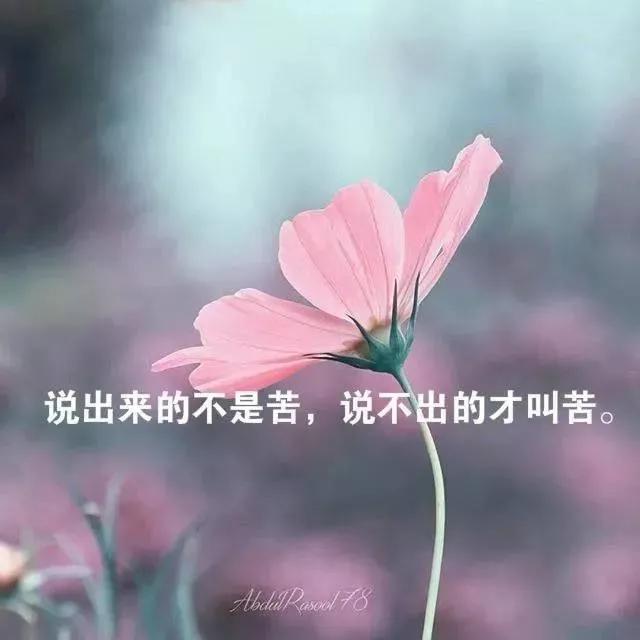 激励人生经典语录（人生选择的励志名言）