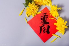 重阳节的问候短句（重阳节祝福语短信摘抄）