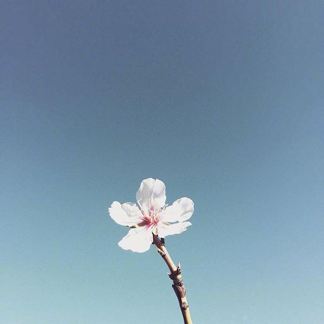 领悟人生的句子（特别经典的人生语录）