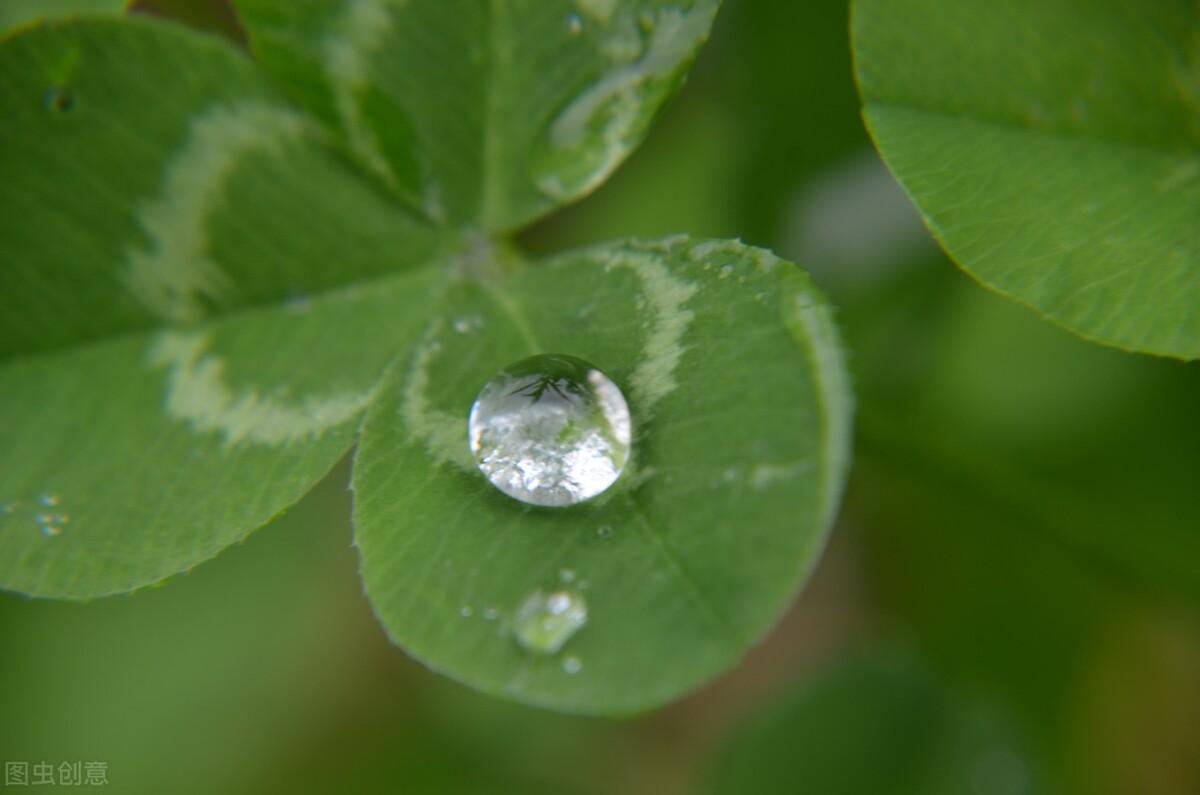 白露朋友圈文案（二十四节气白露节气问候祝福语）