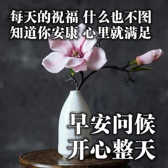 特别暖心的早安语录（让人惊艳的早安句子）