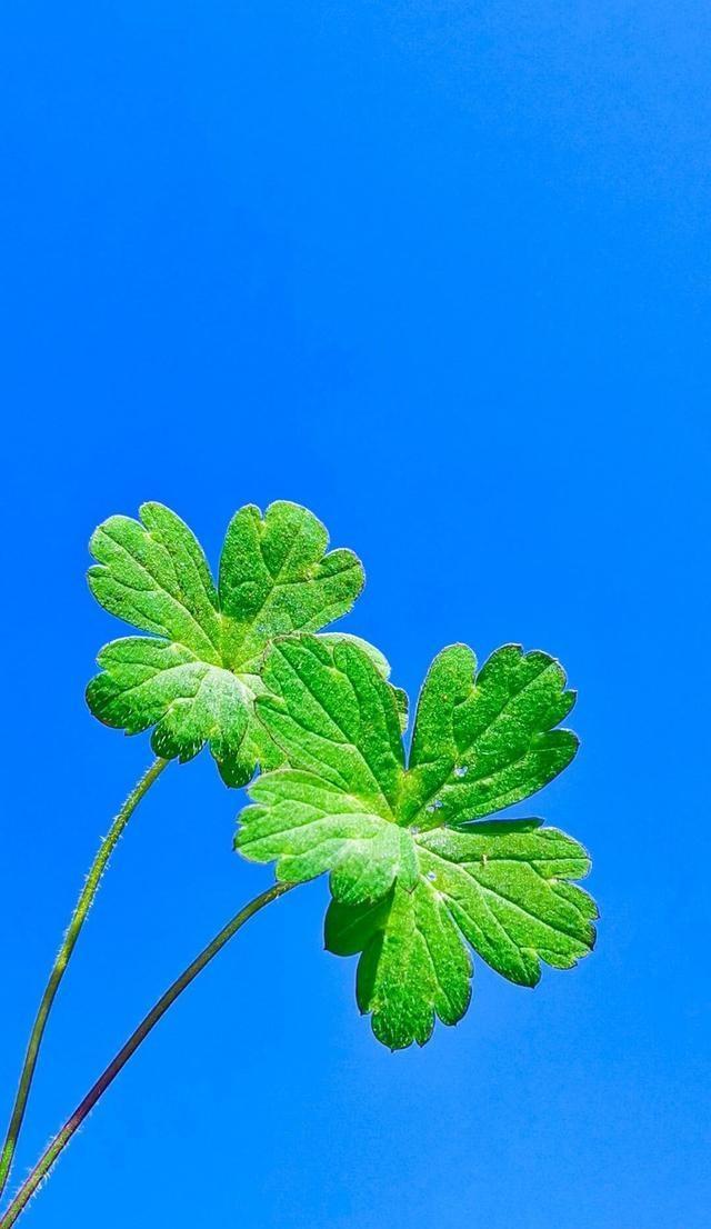 适合发圈的暖心句子（关于朋友圈的暖心文案）