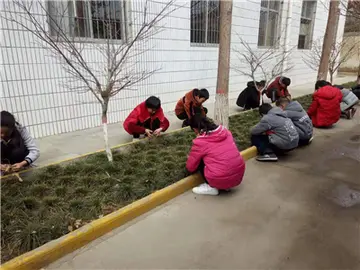 有关生活温暖的作文精选范例（《生活在感动里》）