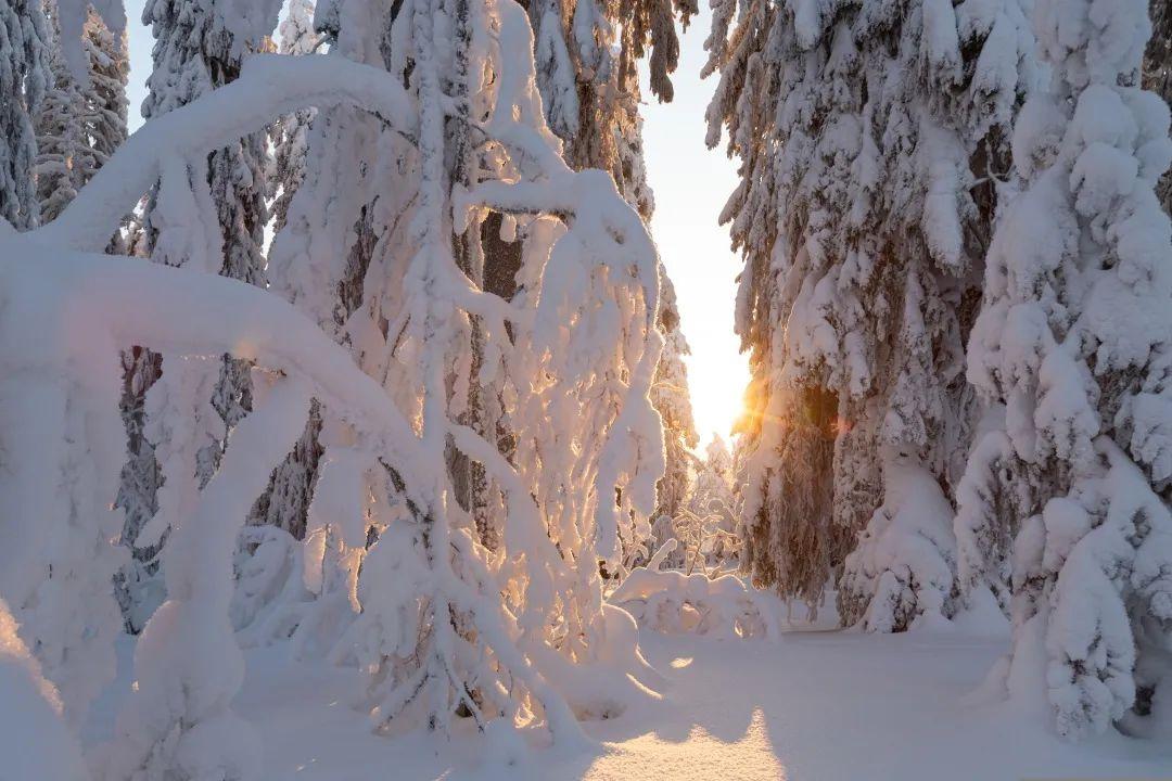 大雪节气朋友圈文案（大雪节气温暖走心短句）