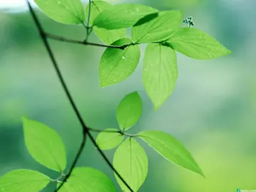 生活友情的话题优秀作文（《生活需要朋友》）