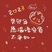 兔年跨年文案（喜悦无边，举杯敬此年）