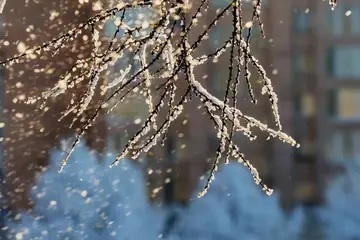 特别浪漫的初雪句子（让人惊艳的初雪短句）