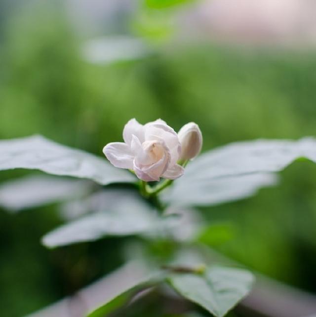 特别走心的人生句子（非常经典的人生语录）