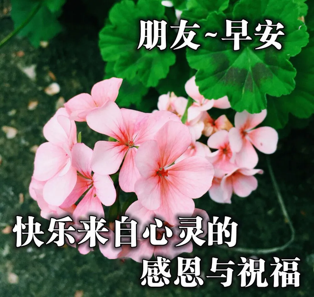 特别励志的早安句子（让人惊艳的早安心语）