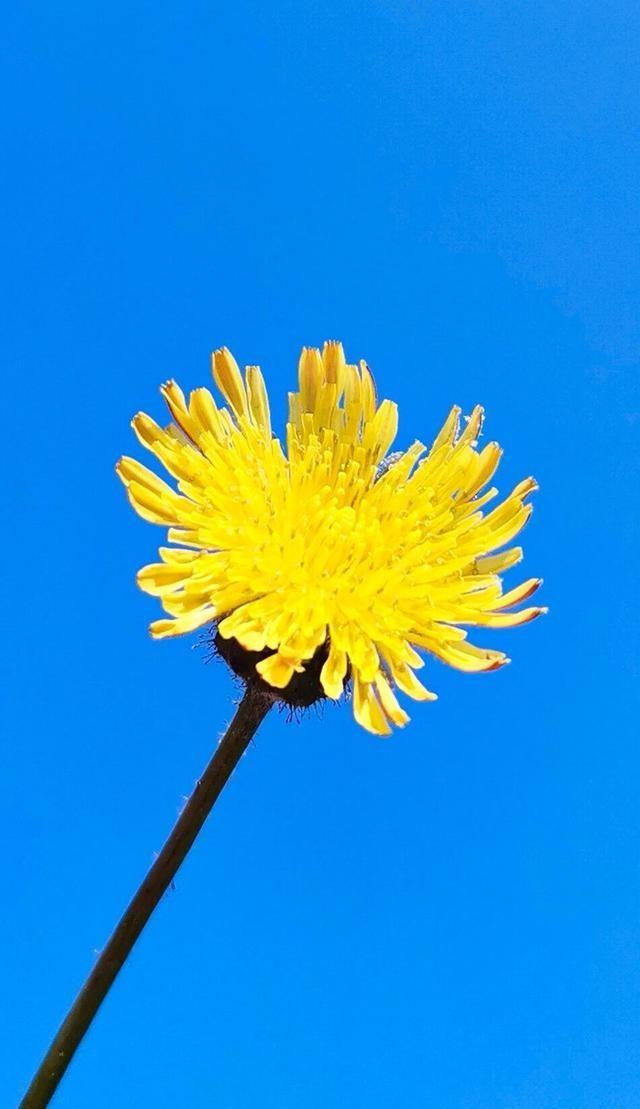 适合发圈的暖心句子（非常干净的暖心文案）