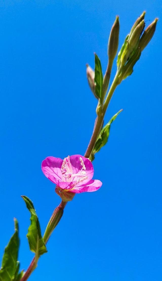 适合发圈的暖心句子（非常干净的暖心文案）