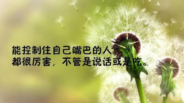 关于人生的哲理句子（适合朋友圈的人生语录）