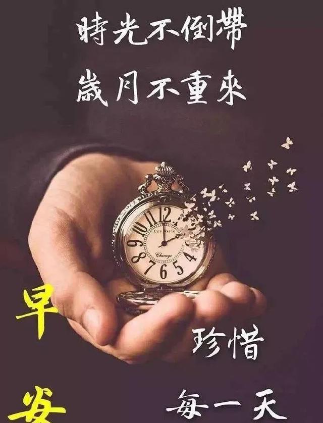 关于早安的励志语录（特别经典的早安文案）