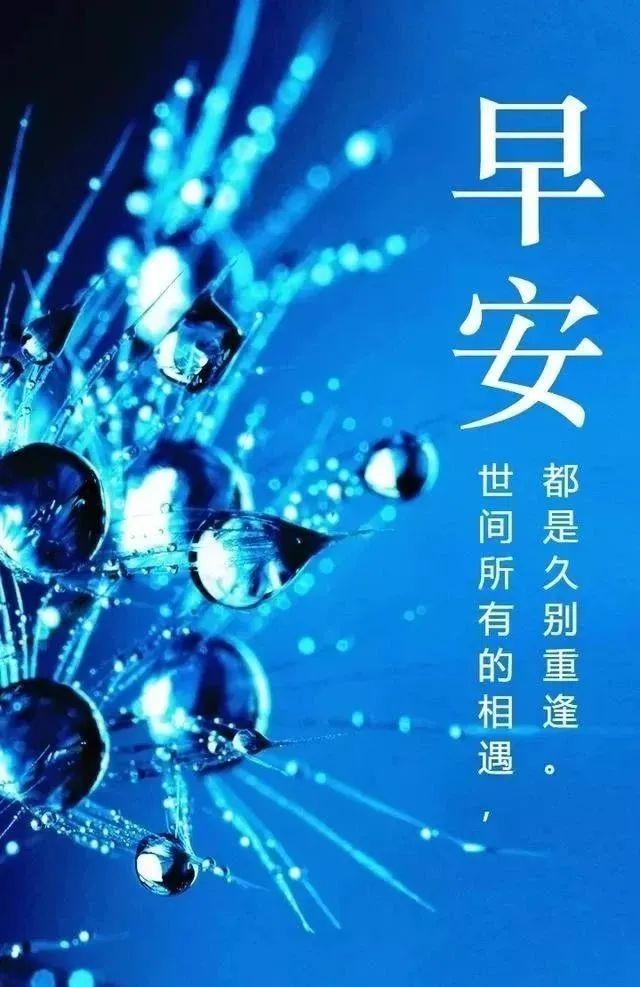 关于早安的正能量句子（充满阳光的早安心语）