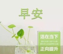 关于早安的励志文案（让人惊艳的早安句子）