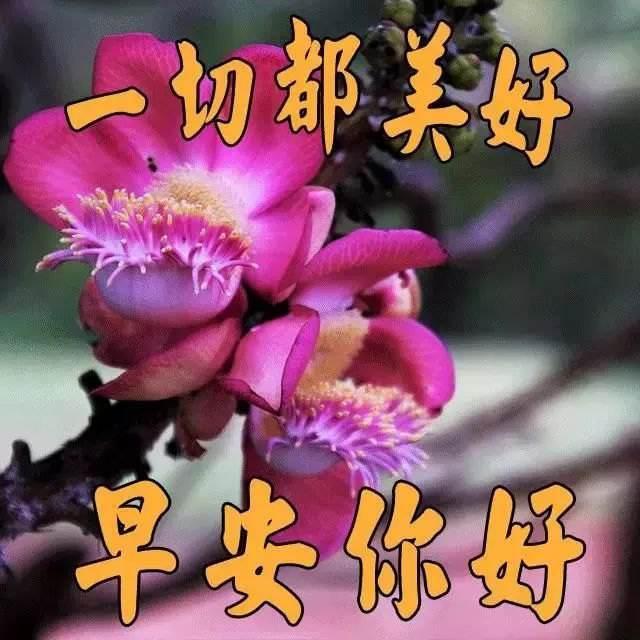 关于早安的正能量文案（让人惊艳的早安心语）